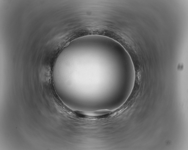 X0000091980963200709061351