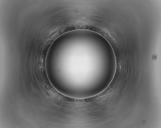 X0000091980964200709061351