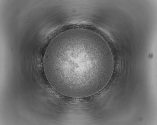 X0000091980966200709061351