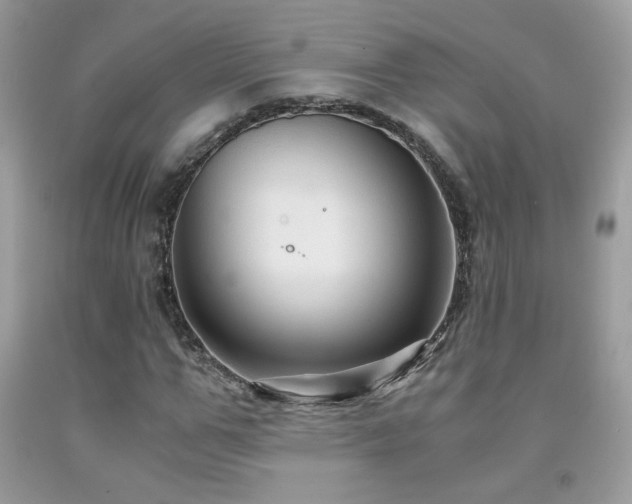 X0000091980967200709061351