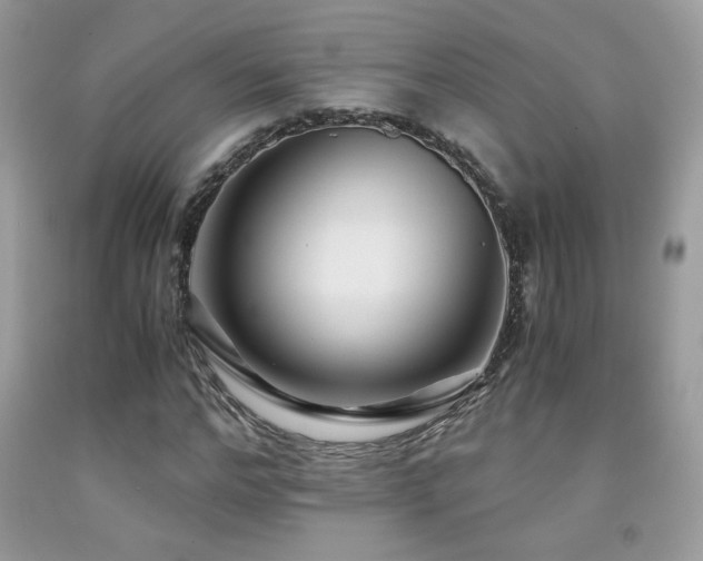 X0000091980968200709061351