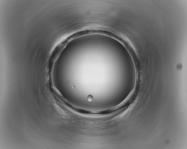 X0000091980973200709061350