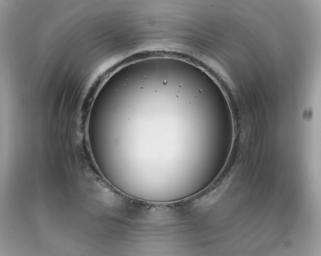 X0000091980974200709061350