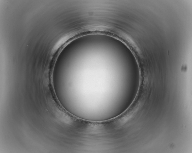 X0000091980978200709061350