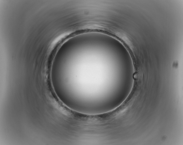 X0000091980979200709061350