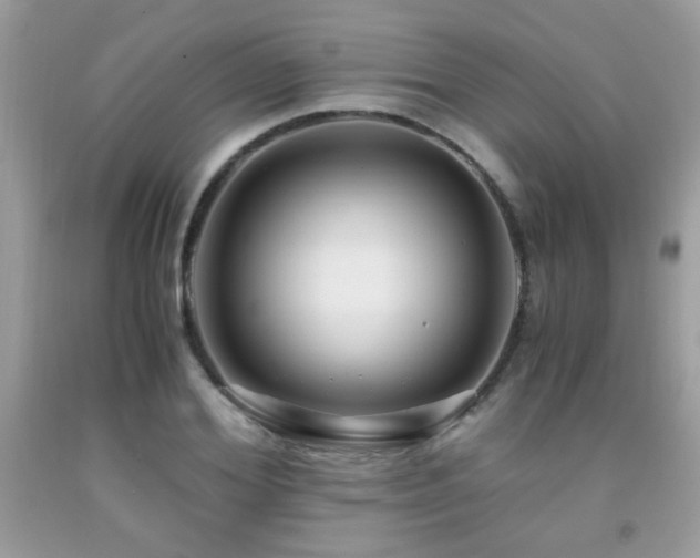 X0000091980980200709061350