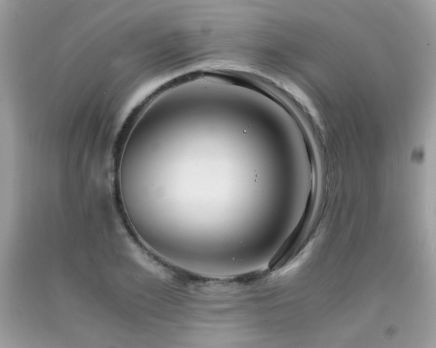 X0000091980981200709061350