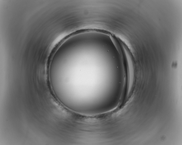 X0000091980982200709061350