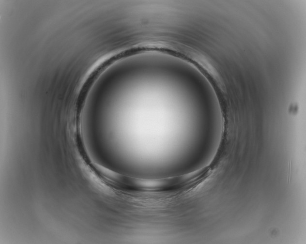 X0000091980984200709061350