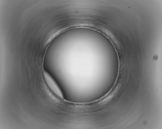 X0000091980985200709061350