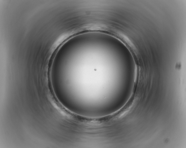X0000091980986200709061350