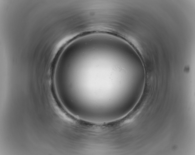 X0000091980987200709061350