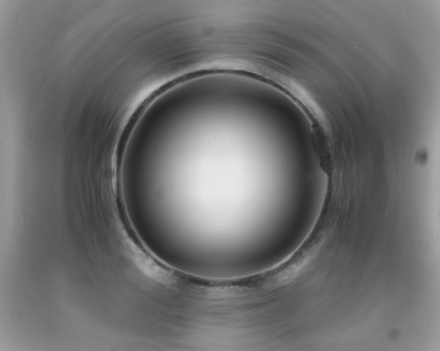 X0000091980988200709061350