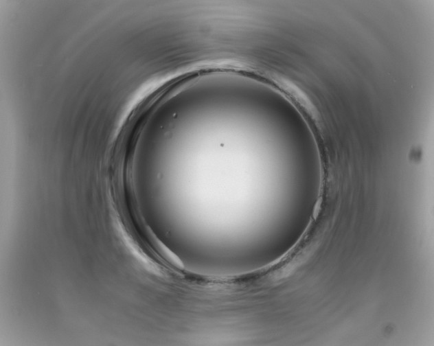 X0000091980989200709061350