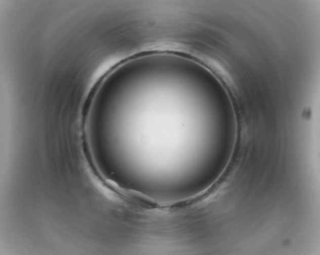 X0000091980990200709061350
