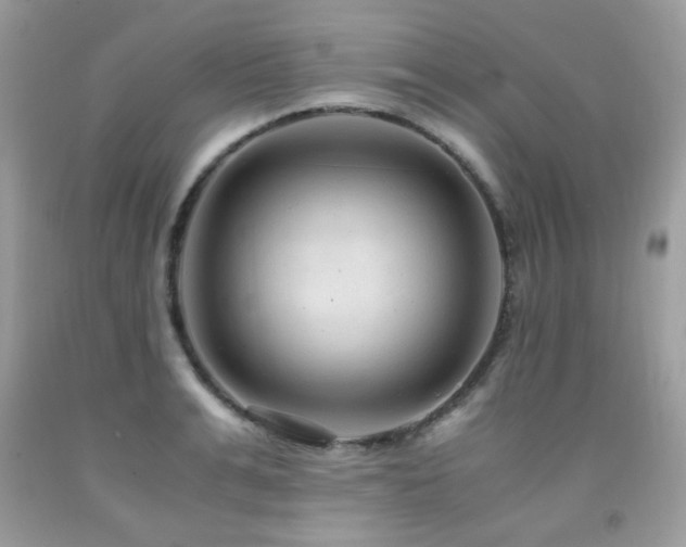 X0000091980991200709061350
