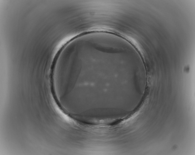 X0000091980995200709061350