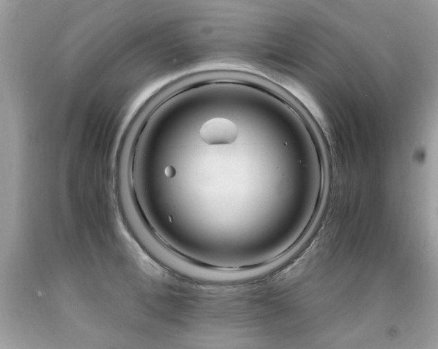 X0000091980996200709061350