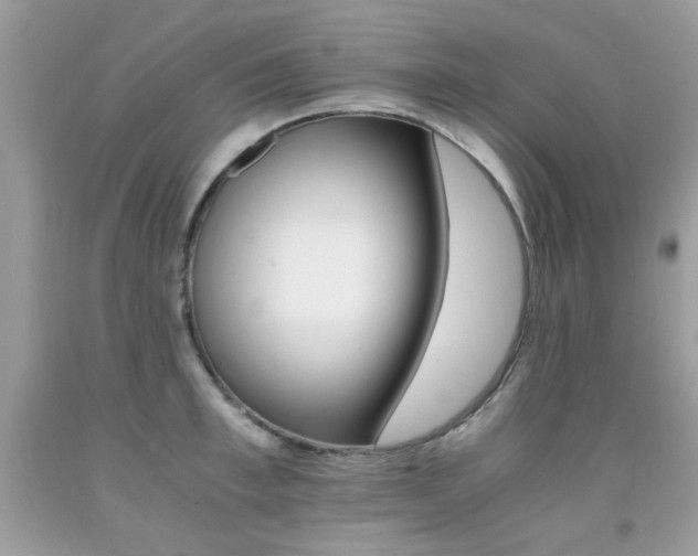 X0000091980997200709061350
