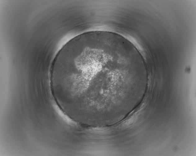 X0000091980998200709061350