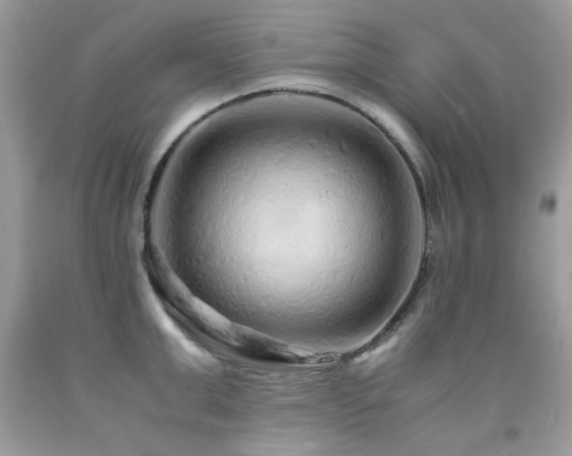 X0000091980999200709061350