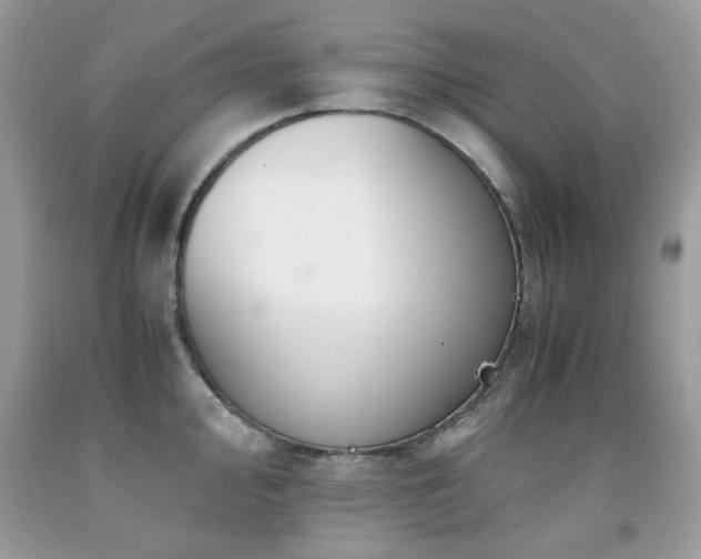 X0000091981000200709061350