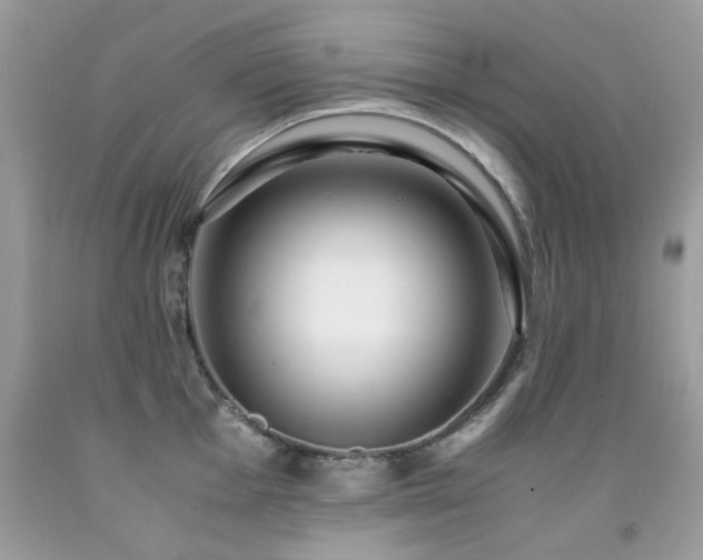X0000091981001200709061350
