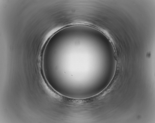 X0000091981003200709061350
