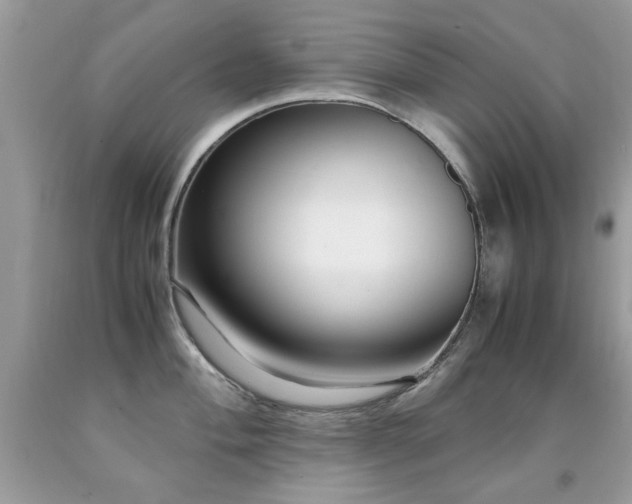 X0000091981004200709061350