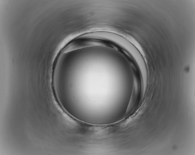 X0000091981005200709061350