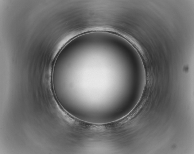 X0000091981006200709061350