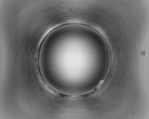 X0000091981008200709061350