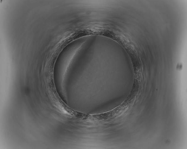 X0000091981009200709061349