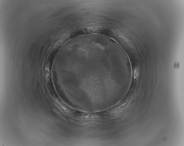 X0000091981011200709061349