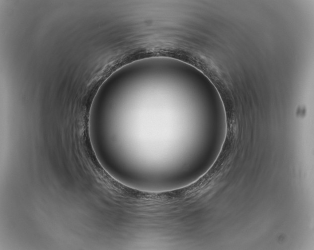 X0000091981012200709061349