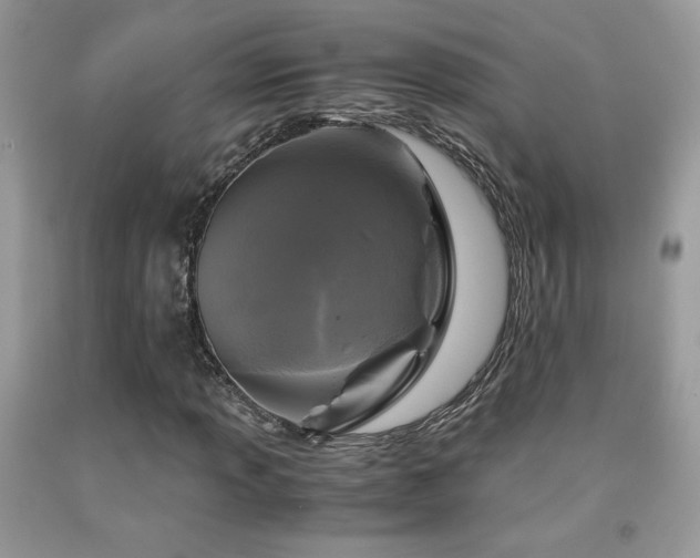 X0000091981013200709061349