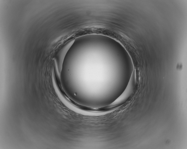 X0000091981014200709061349