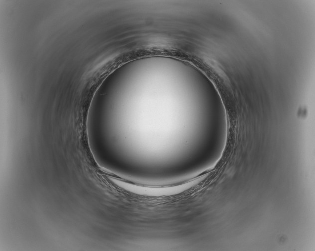 X0000091981015200709061349