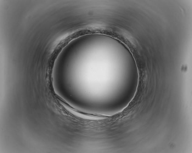 X0000091981016200709061349