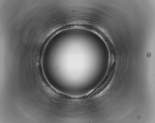 X0000091981017200709061349