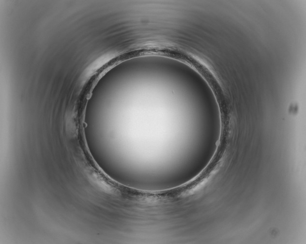 X0000091981018200709061349