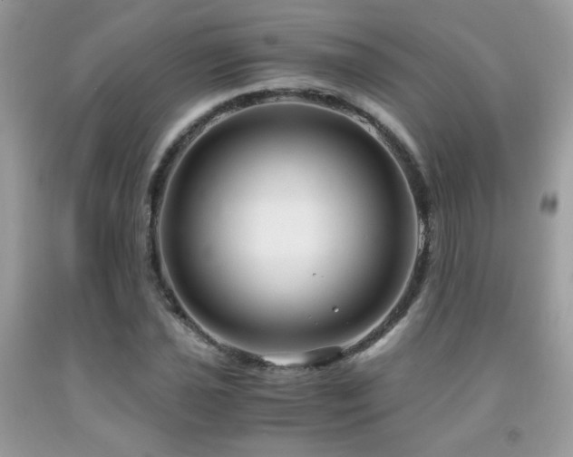X0000091981021200709061349