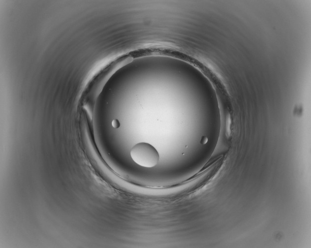 X0000091981022200709061349