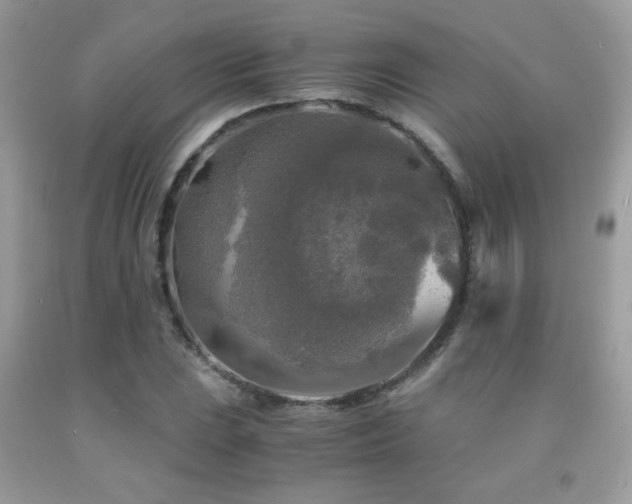 X0000091981023200709061349