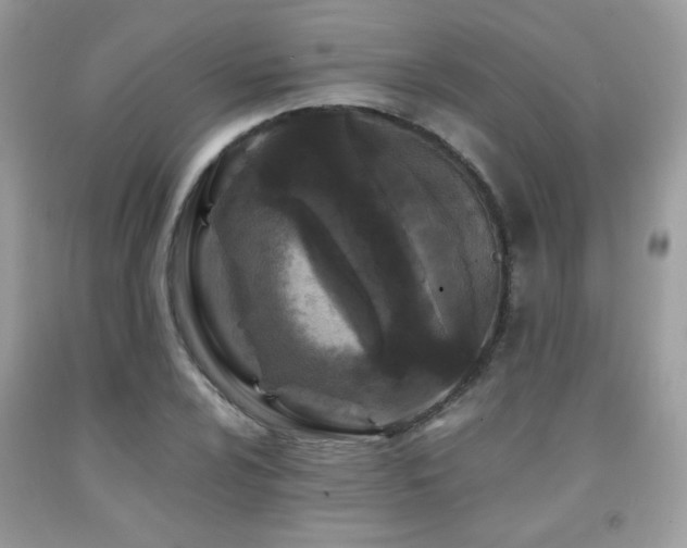 X0000091981024200709061349