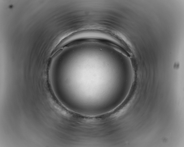 X0000091981025200709061349