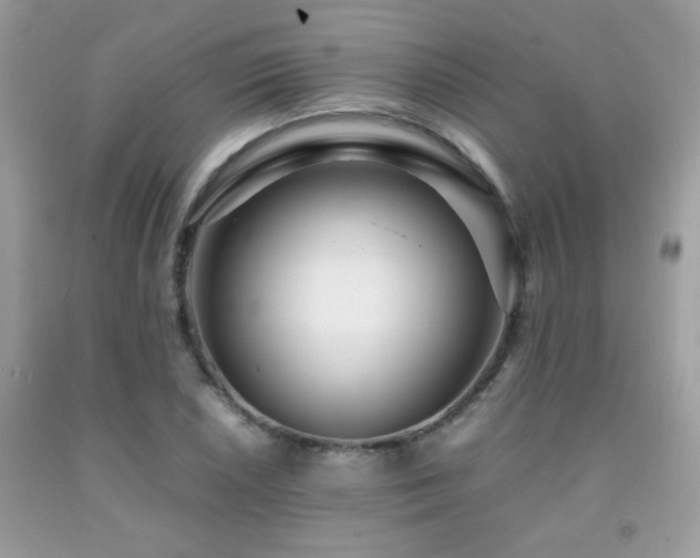 X0000091981026200709061349