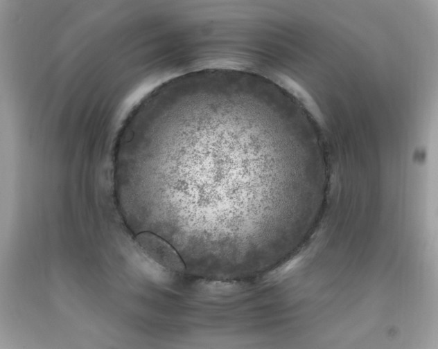 X0000091981027200709061349