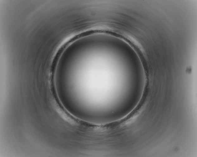 X0000091981029200709061350