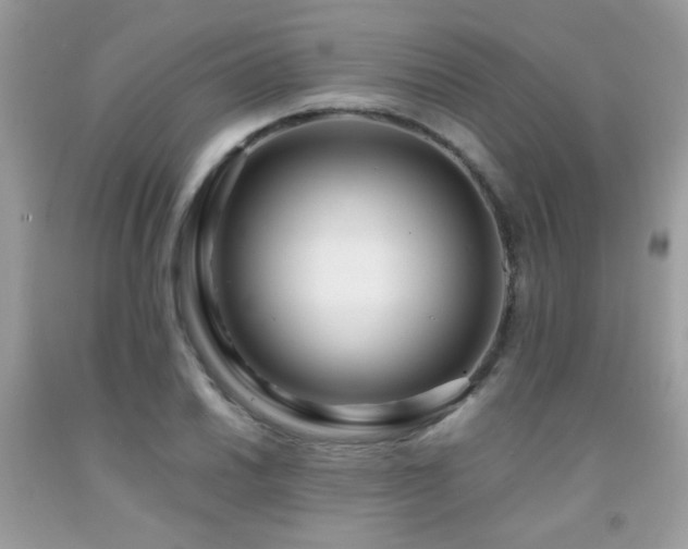 X0000091981030200709061350